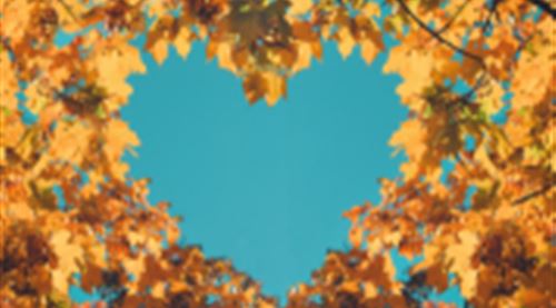 Golden Harvest Spa Day