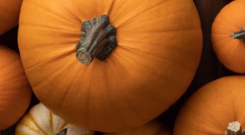 Pumpkin Spice and Everything Nice